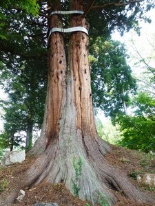泉龍寺 (5)