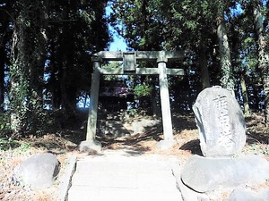 青梨子諏訪神社 (1)