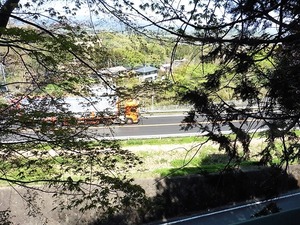 松井田琴平宮 (14)