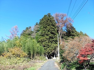 佐奈神社 (1)