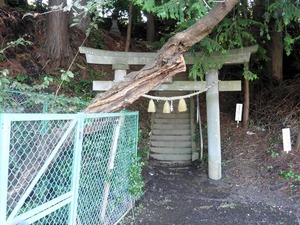 上南室赤城神社 (3)
