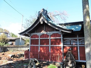 金井八坂神社 (5)