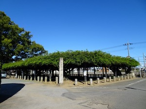 反町館跡2 (9)
