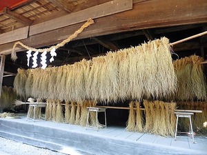 柏倉諏訪神社 (9)