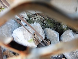 天神山3号墳 (2)
