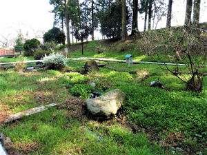 新井八幡宮 (8)