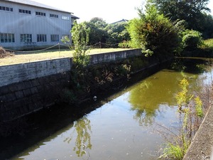 反町館跡2 (2)