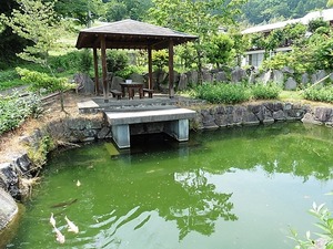 弘法の井戸 (6)