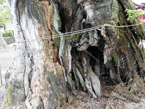 川田神社 (8)