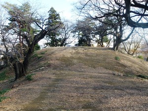 天川二子山古墳 (4)