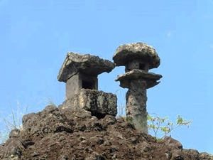 大牛の大通龍さま (2)