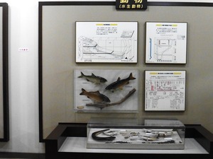 榛名ビジターセンター (6)