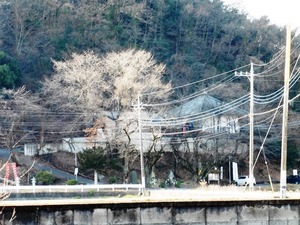 清光密寺 (4)