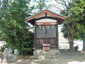 橳島飯玉神社 (8)