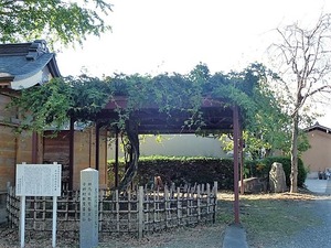 横堀大山祇神社 (8)