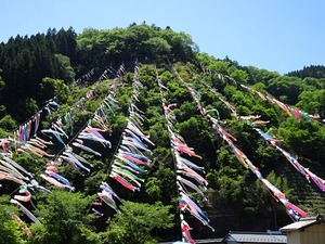 鯉のぼり祭り2026 (2)