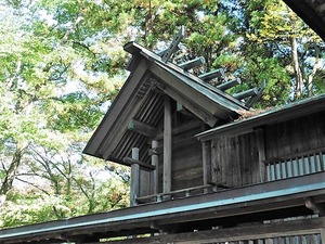 小泉白鳥神社 (5)