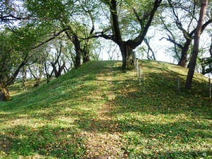 総社二子山古墳 (4)