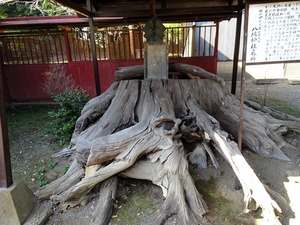 世良田八坂神社2 (14)