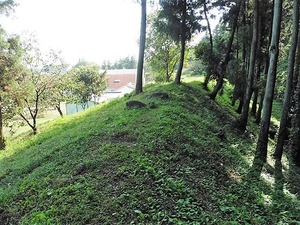 白井城址 (7)