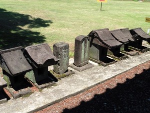 脇屋赤城神社 (6)