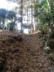 鷹巣神社 (4)