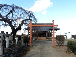 龍光寺阿弥陀堂 (2)