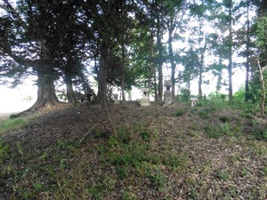中江田矢抜神社 (10)