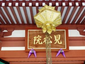 善導寺 (2)
