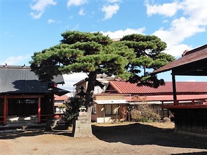 桃山稲荷神社 (6)