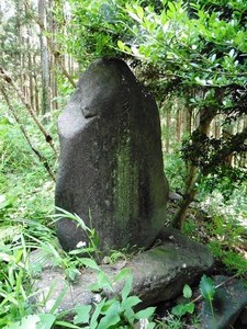 多胡神社 (4)