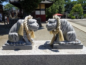 藤岡諏訪神社２ (15)