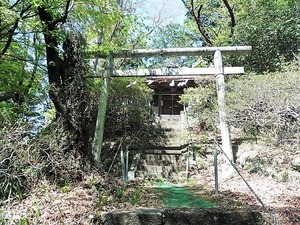 松井田琴平宮 (8)