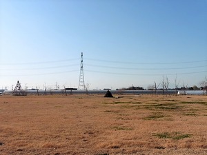 西鹿田中島遺跡 (1)