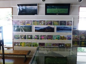 尾瀬石清水 (3)