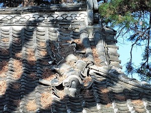 宿大類町熊野神社 (6)