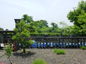 善導寺 (6)