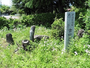 吉田芝渓の墓 (5)