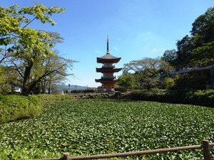 大雄院 (5)