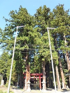 三島鳥頭神社 (1)