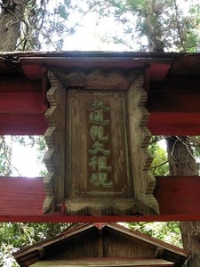 小日向日枝神社 (14)