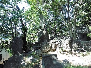 橳島飯玉神社 (7)