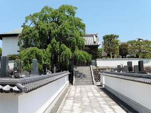 遍照寺 (1)