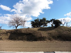 吉田家の土塁 (3)