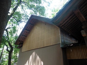 十二所神社２ (6)