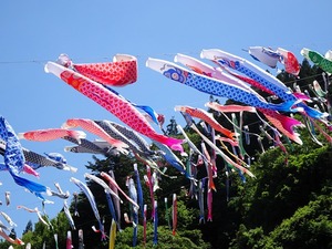 鯉のぼり祭り2026 (3)