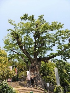 大聖峯寺 (3)