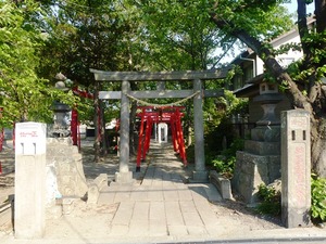 於菊稲荷神社 (1)