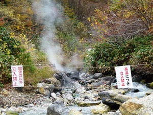 西の河原公園 (2)