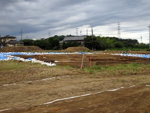 保美西浦遺跡 (1)